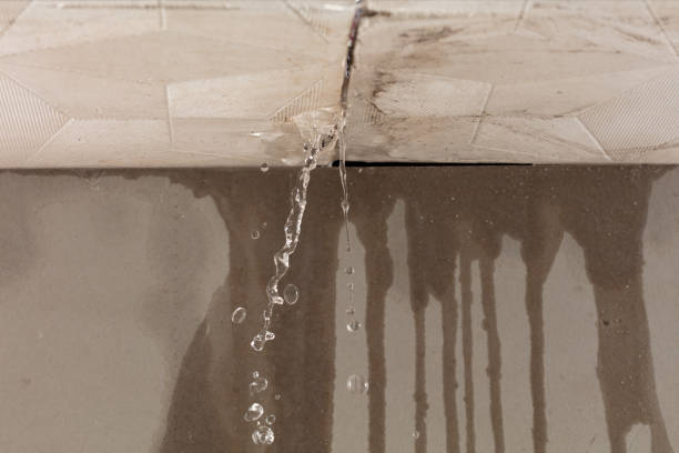 Professional Water Extraction technician working in Williamsburg, FL
